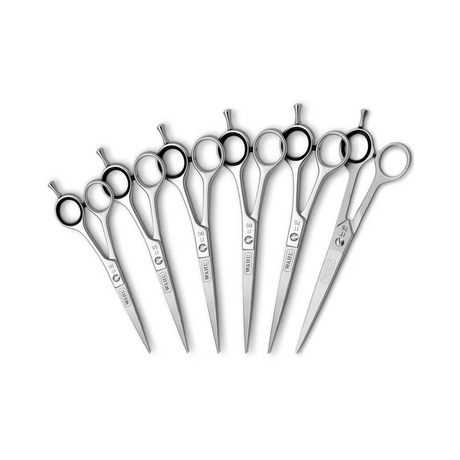 Wahl Scissors Range | Barber Outlet