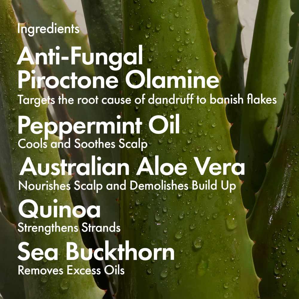 Bondi Boost Dandruff Shampoo - 300ml