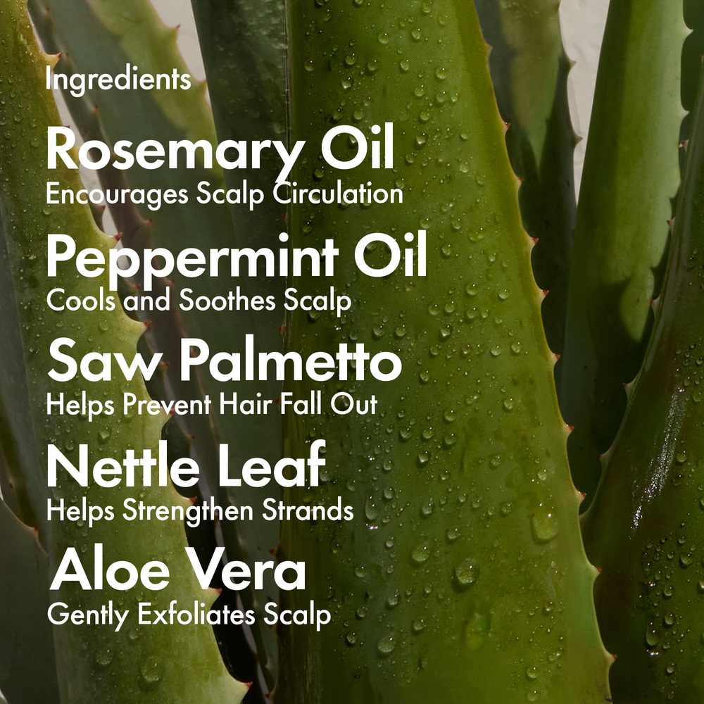 Bondi Boost Hair Growth Shampoo 500ml | Barber Outlet